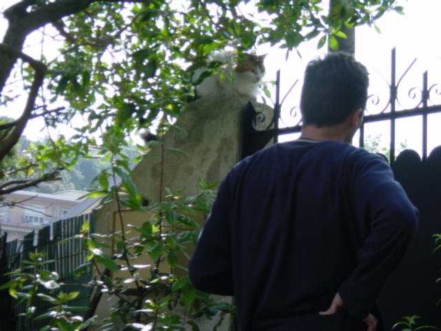 Jacky Chan perched near the gate, Stephane's back