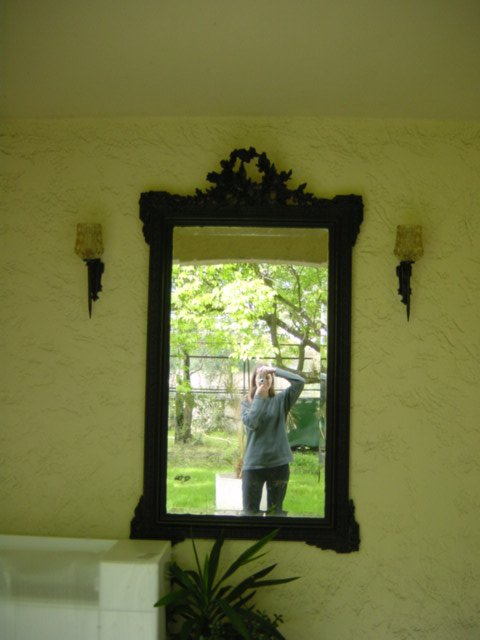 Le miroir du palier commun de portes