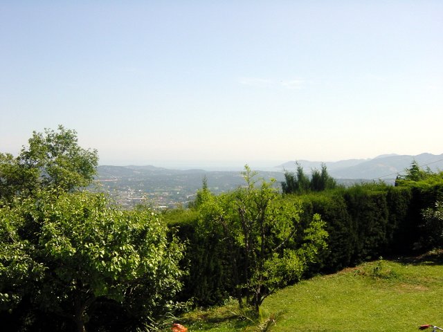 View from Daniel's