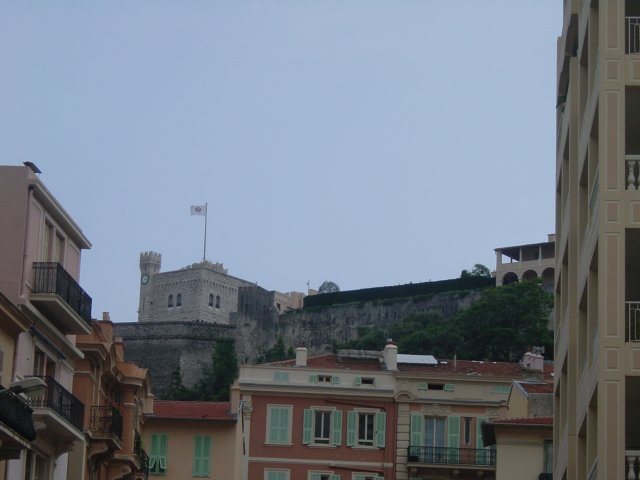 The castle