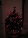 Notre arbre de Noel :-)