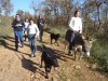 DD, Carine, Alice, Unix, Max, Urgo, Laurie riding Madelon