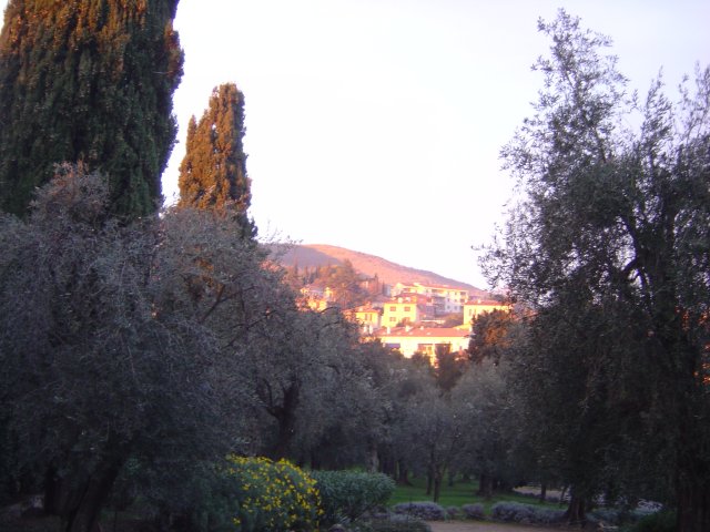 Grasse being at last touched by the setting sun