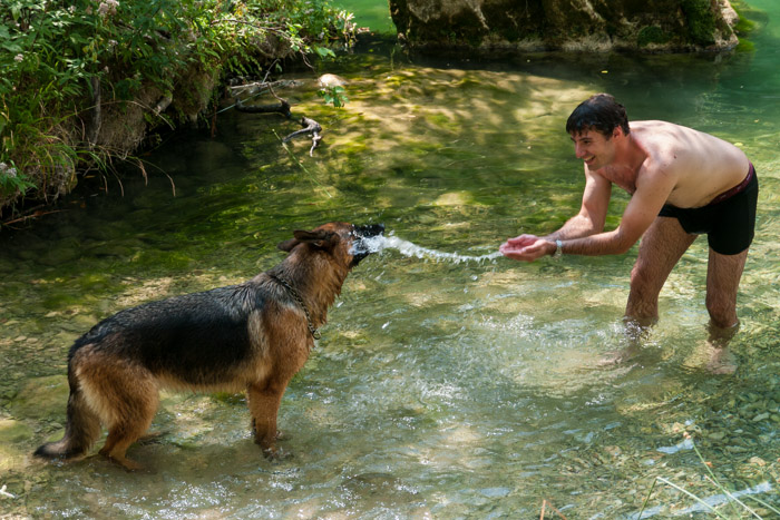 Watering the dog II