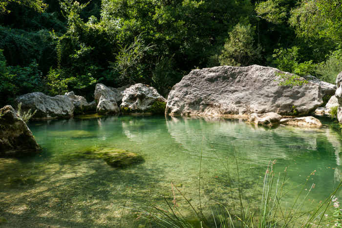 The pool