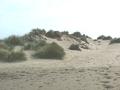 Dunes à la plage