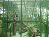 Monkey cage