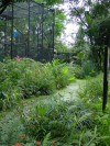 Cage and garden