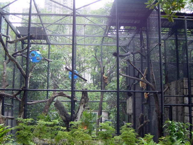 Monkey cage