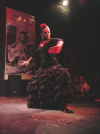 Danseuse de Flamenco