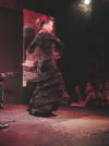 Danseuse de Flamenco