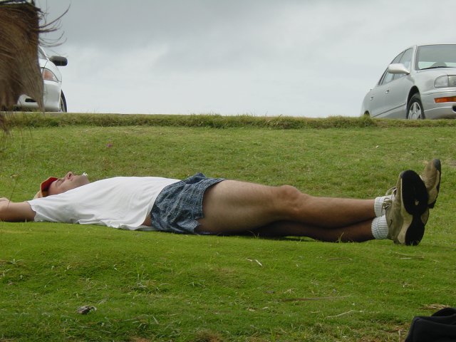 Dean stretched on the grass