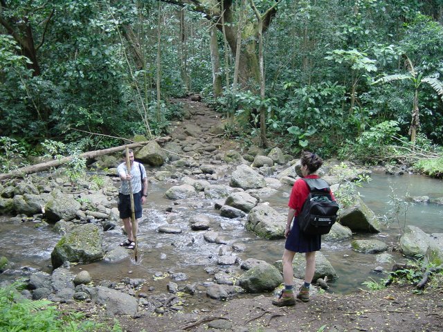 Daniel in a stream offering the stick to Christelle