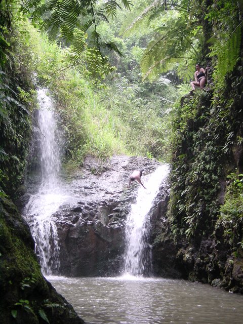 Daniel diving