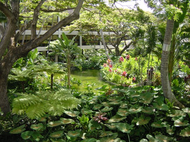 Garden at Honolulu airport