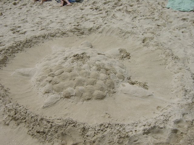 Tortoise made of sand