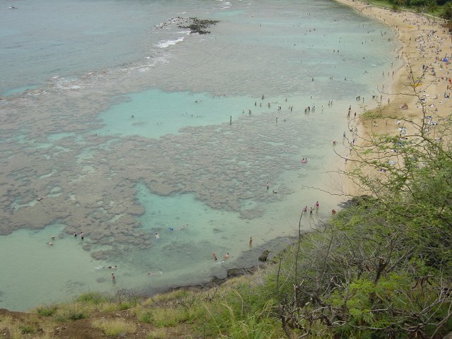 Hanauma bay, people in the water from above