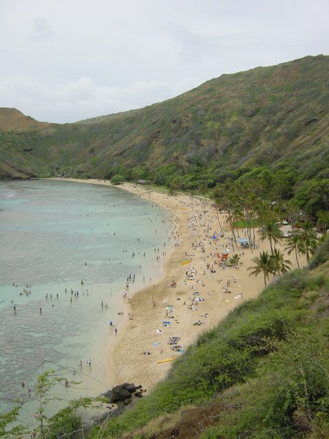 Hanauma bay, people in the water from above