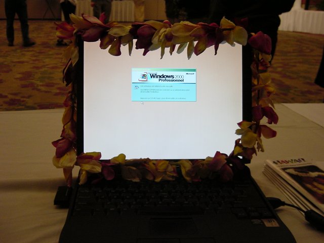 Lei'd laptop