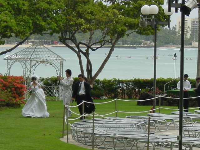 Wedding in the garden of the Sheraton Waikiki