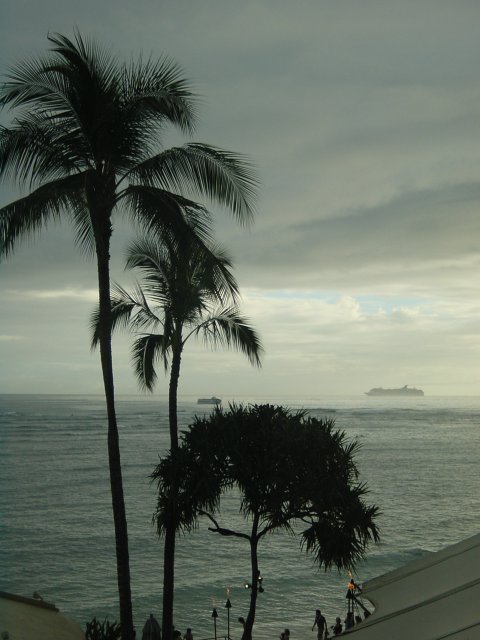 Grey weather, palm trees in the foreground, grey ocean, two ships and grey sky