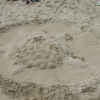 Tortoise made of sand
