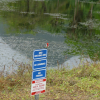 "Bird watching area" sign with cardinal bird perched on top of it