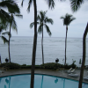 Swimming pool, palm tree, ocean - from the Sheraton Waikiki