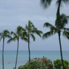 Palm trees, blue sky and ocean