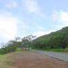 The road leading to Diamond Head crater