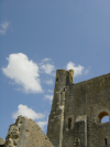 Ruine du chateau et migration d'oiseaux au-dessus