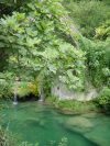 Cascade by the bridge