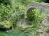 Le Pont des Tuves