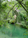 Philippe jumping from the bridge