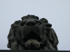 A lion of Chain bridge