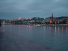 Dinner cruise on the Danube: bridge, boats, lights, castle, twilight
