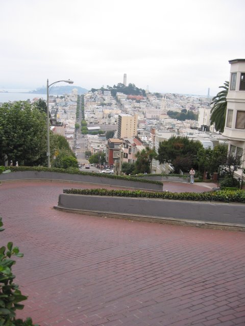 Looking down on Lombard and the city and Coit Tower