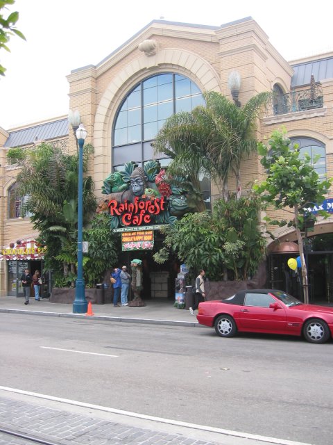 Lush entrance of Rainforest Cafe