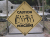 Sign reading "Caution penguins"