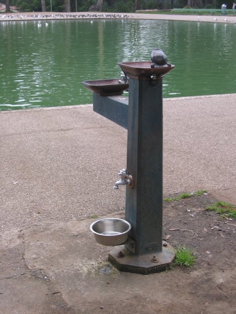 Water fountains for adults, children and dogs
