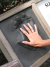 Alex's hand on the imprint of a gorilla hand