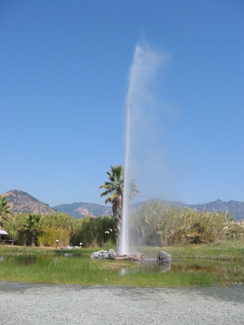 The geyser