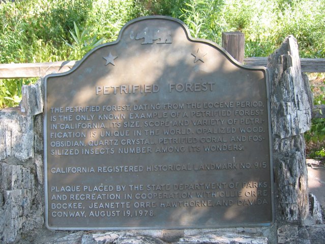 Bronze notice at the entrance of the petrified forest