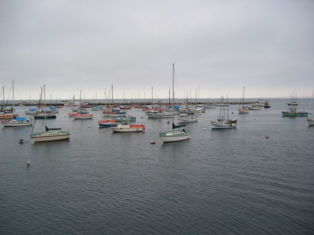 Boats anchored in the bay