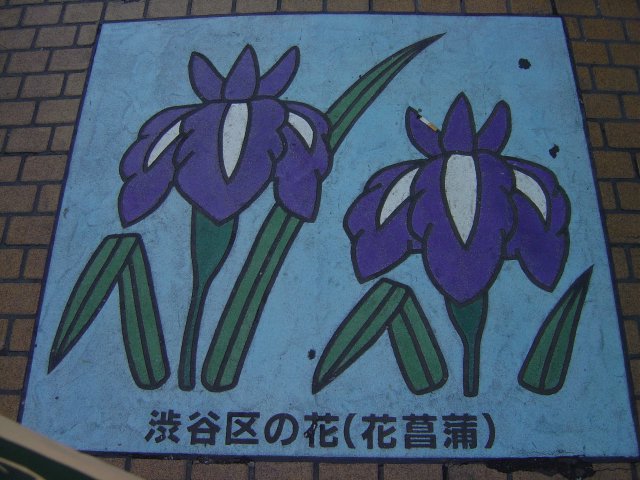 Floor painting of irises