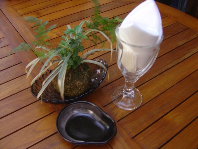 Plants, napkins in a glass and an ashtray on our table