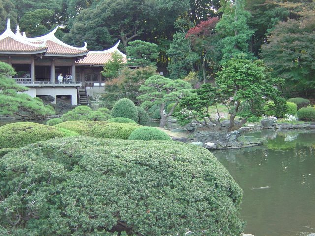 Japanese Traditional Garden 