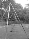 Swings in central park