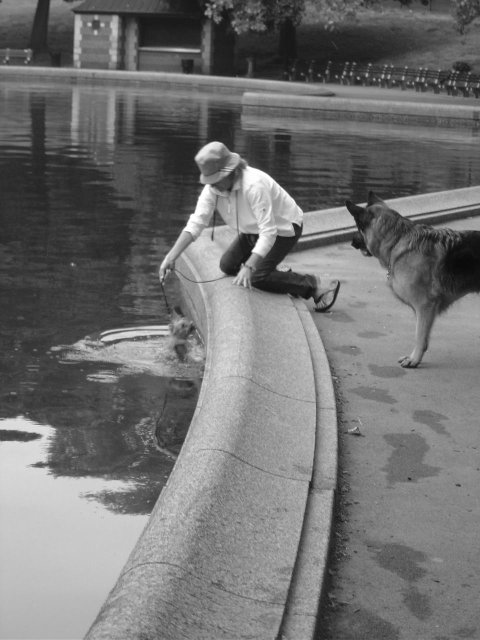 Woman bathing her dog