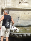 Un monsieur fait boire son chien-chien dans la fontaine